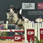 Virginia Horseback Services