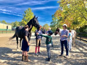Children from Childhelp, who have experienced trauma, are shown how to overcome their fear and find a sense of community through the healing power of horses. 