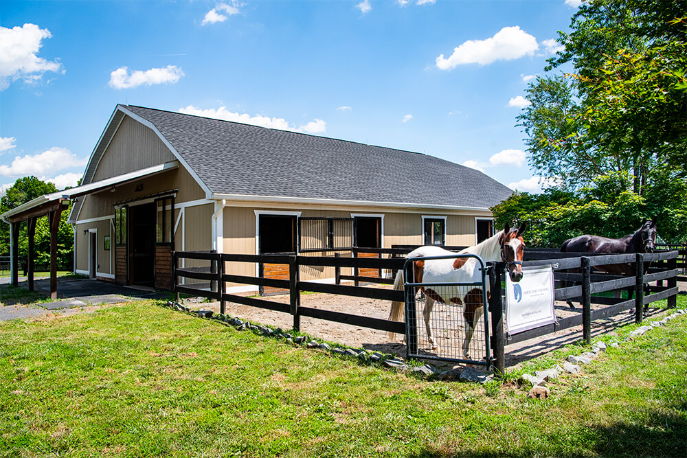 The Lower Barn contains 10 stalls, a tack room and a heated wash stall. 