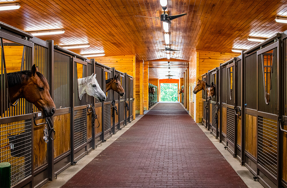 The Upper Barn contains 20 fully padded stalls with fans, heated wash stalls and tack rooms. 