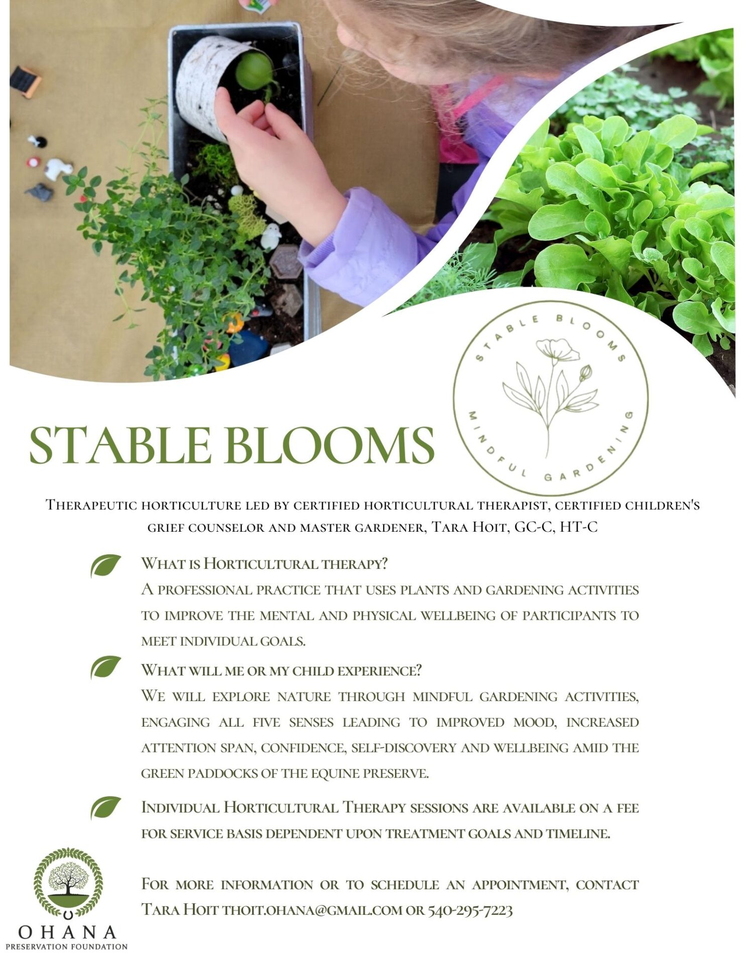 Stable Blooms Flyer (1)