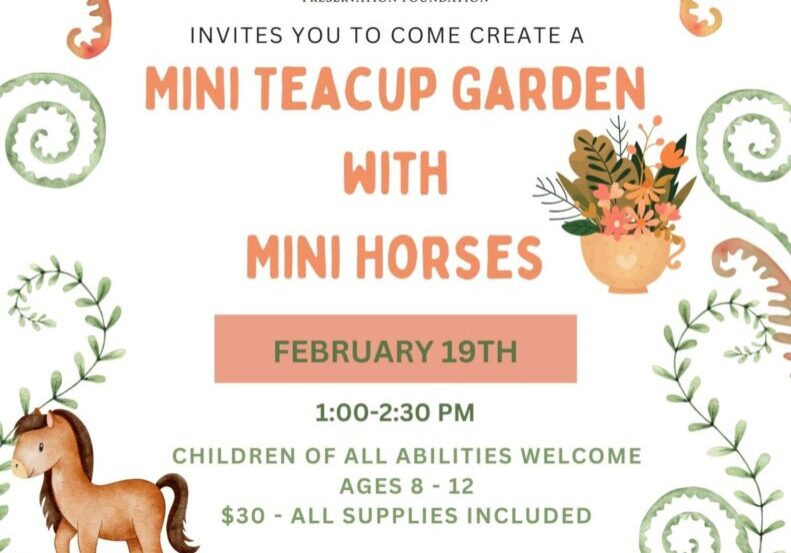 Mini Tea Party with the mini horses (1)